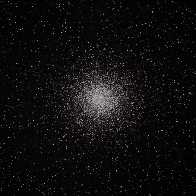 M55