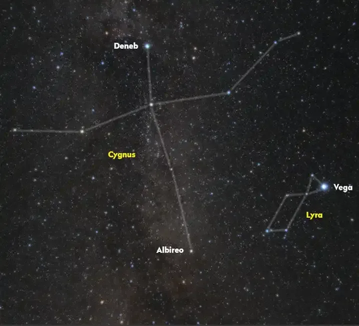 Constellation Cygnus 