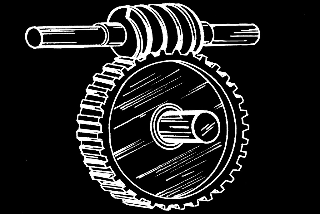 Worm Gear